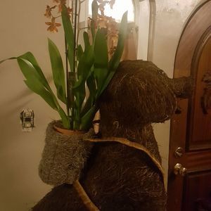 Meet your Posher, Sonia